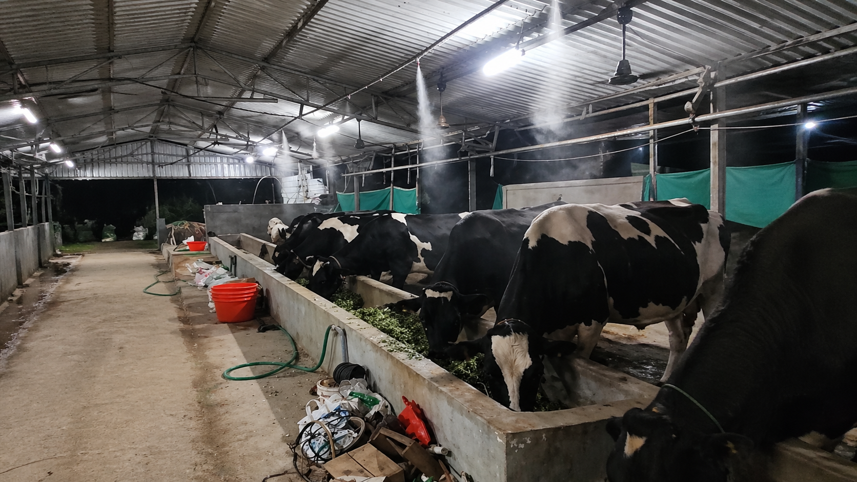 Cow Farm Mist System